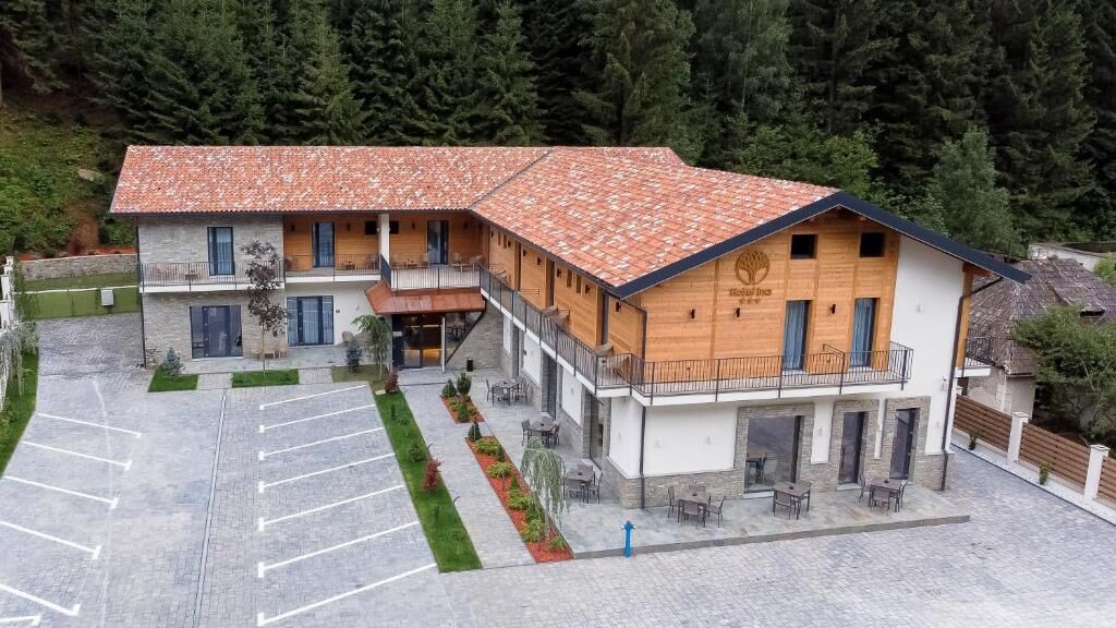 Hotel Ina Borșa