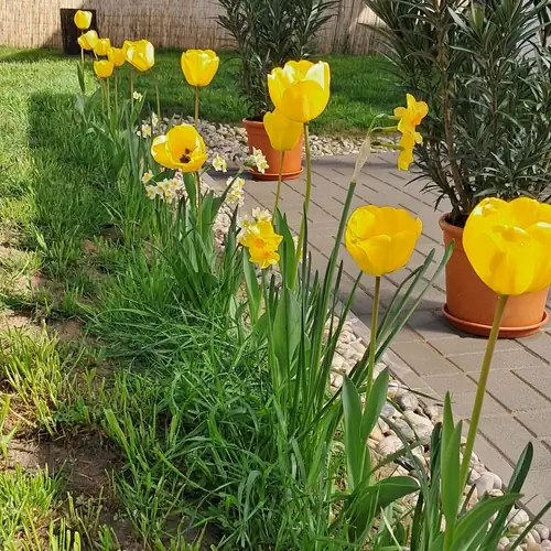 Igali Varázs Apartman 016 kép