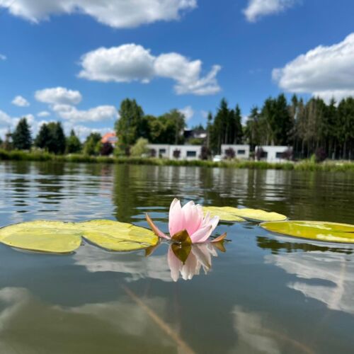 Tópart Apartmanok Nagylengyel