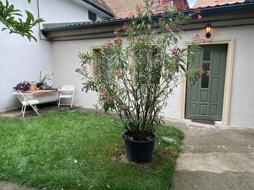 Urban Oasis Guesthouse Târgu Mureș