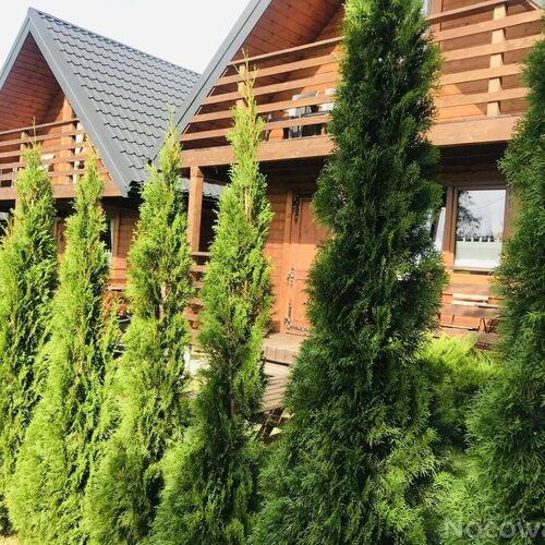 Boso po Rosie Domki Bieszczadzkie Polańczyk