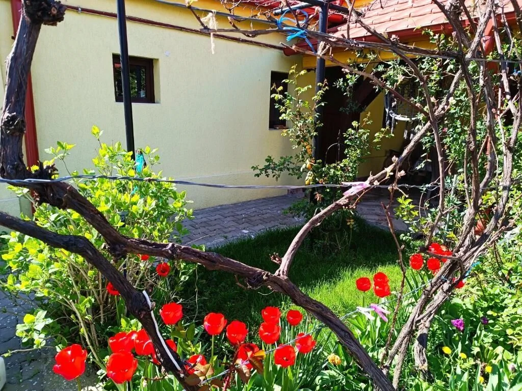Casa Bunicilor Cisnădie