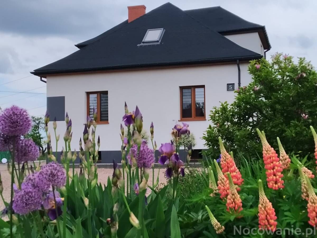 Pokoje gościnne - Domek u Mai Zator