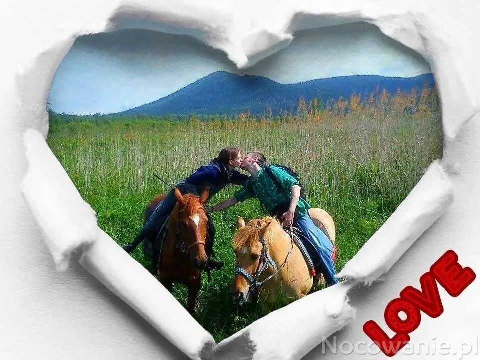 Domek w górach Międzylesie