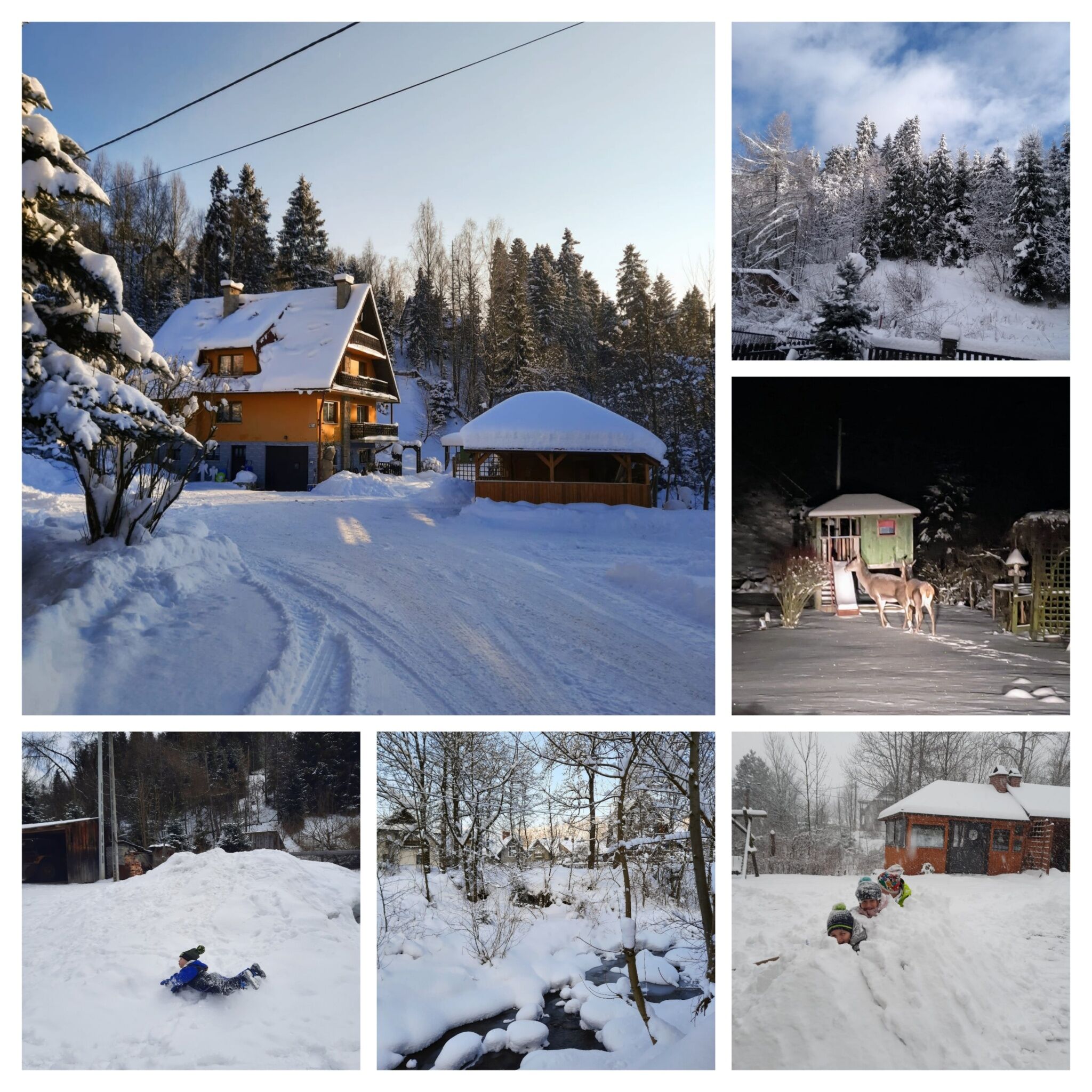 Apartament w Domu pod Brzyzkiem Nowy Targ