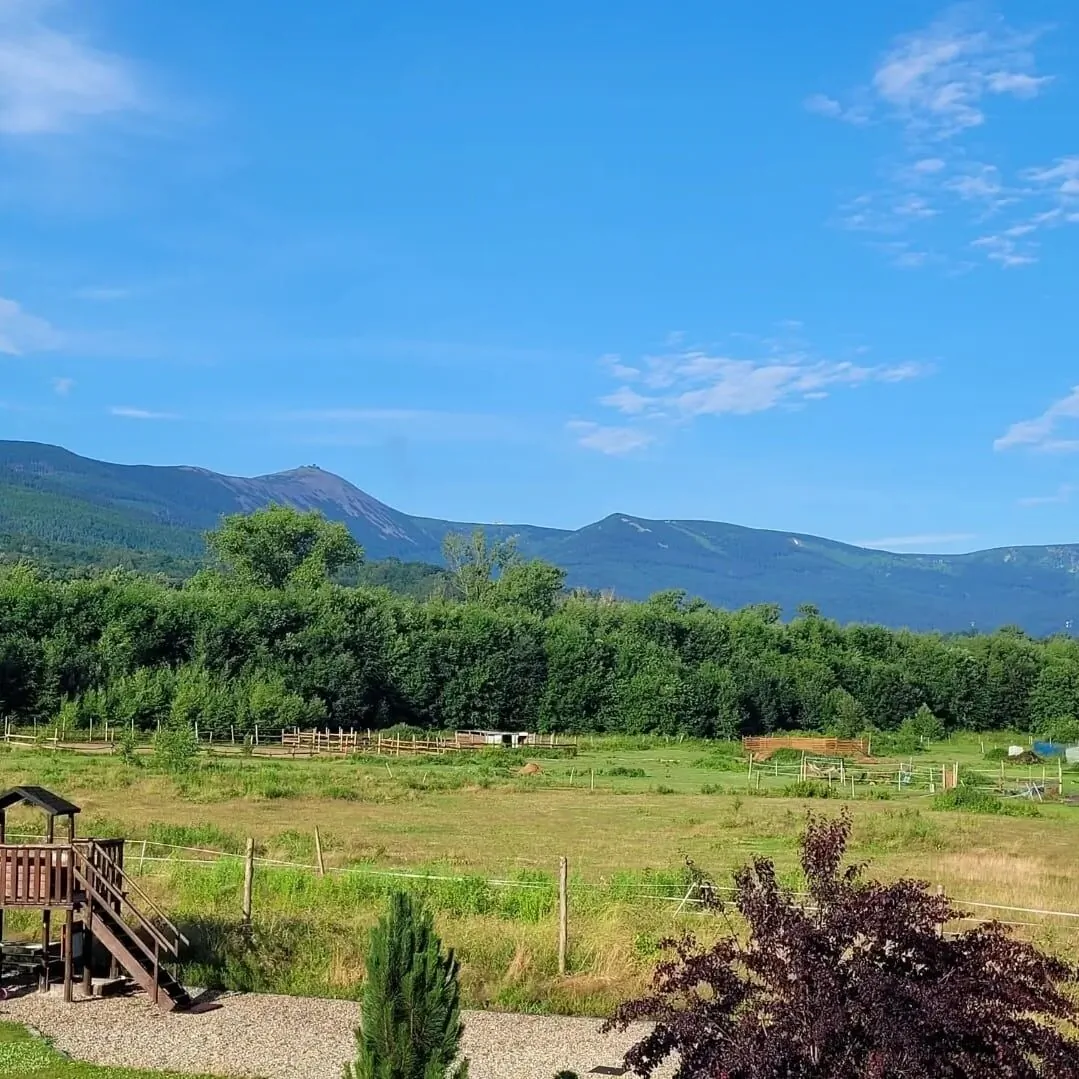 Apartamenty Malinówka pod Śnieżką Kowary