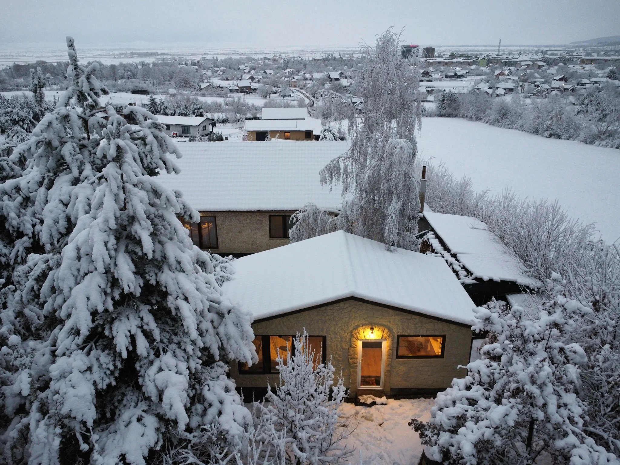 Forest Hide Tiny House Covasna 