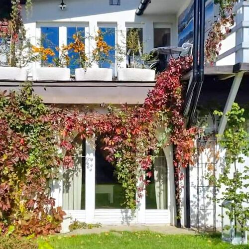 Apartman Zakopane - PPG300