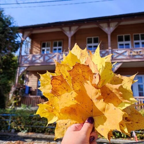 Nikifour, apartament nad deptakiem Krynica-Zdrój