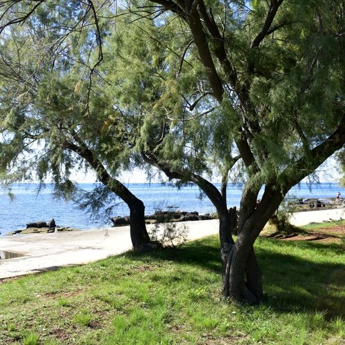 Apartman Capriati Umag ★★★★ 3