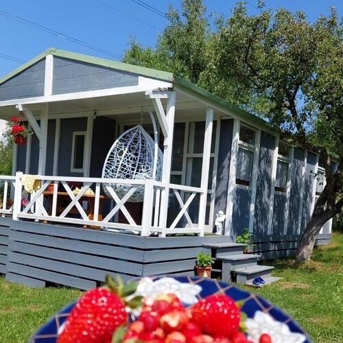 Căsuța din poveste Bran