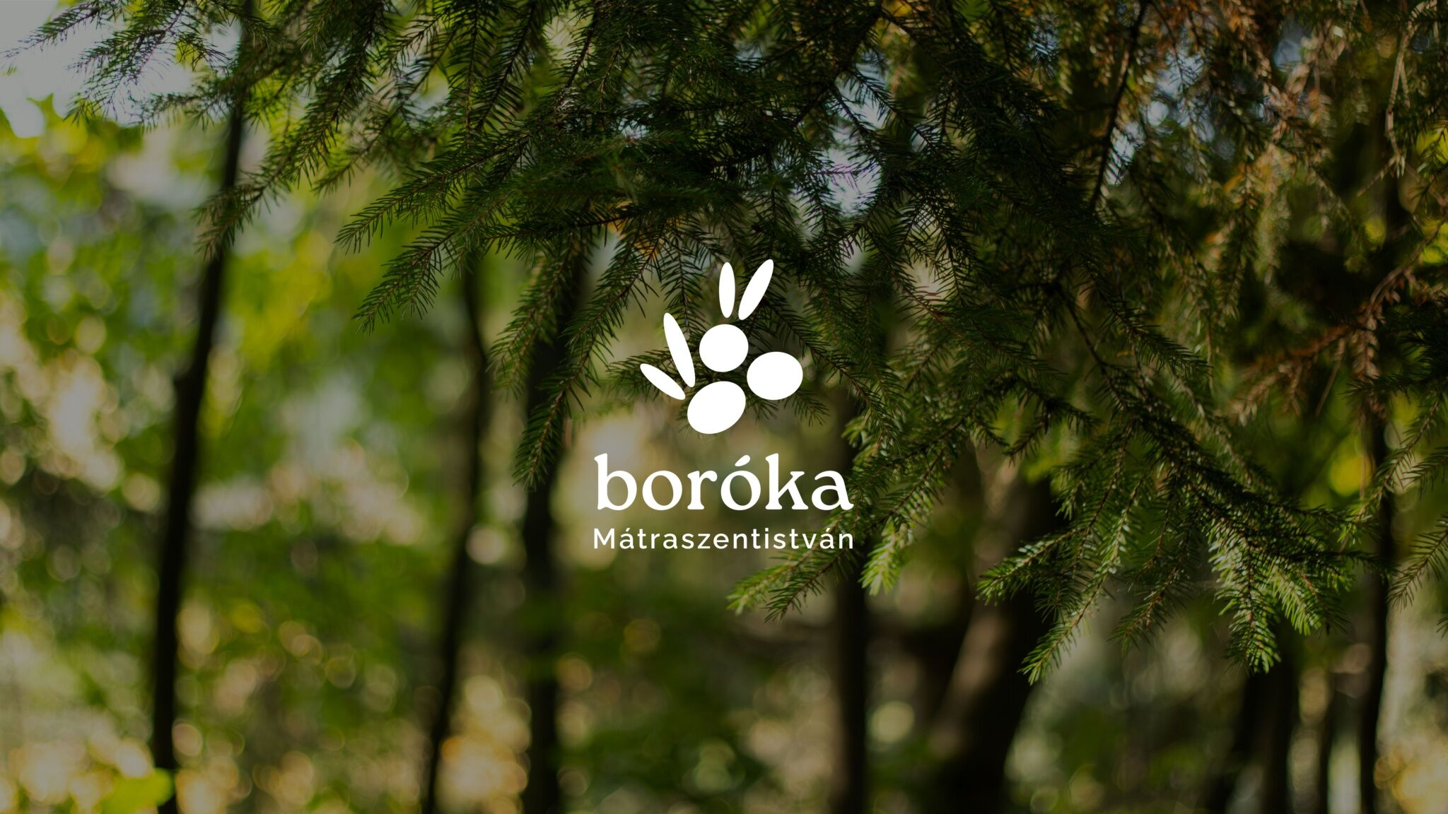 Boróka Vendégház Mátraszentistván