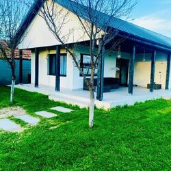 Tacchini's Home Plosca