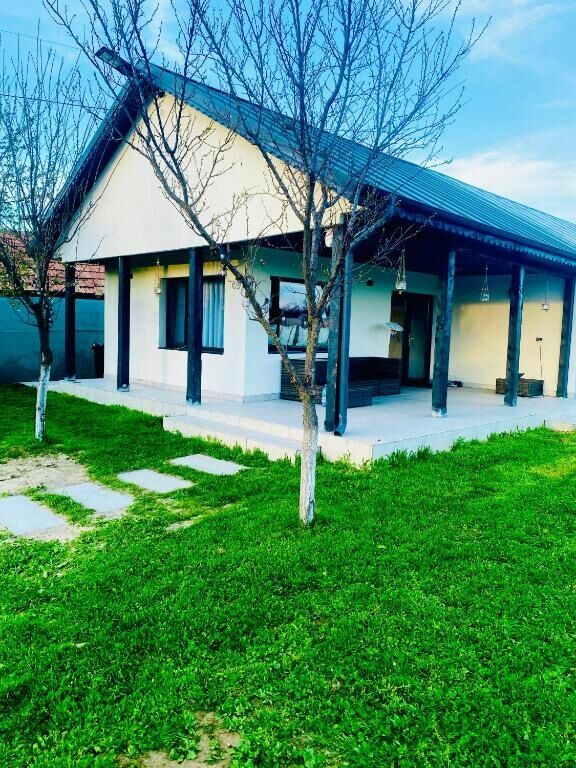 Tacchini's Home Plosca