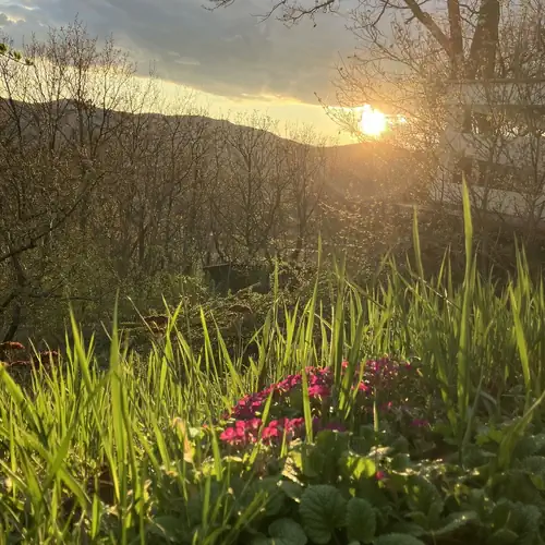 Chillak Vendégház Szentendre 023 kép