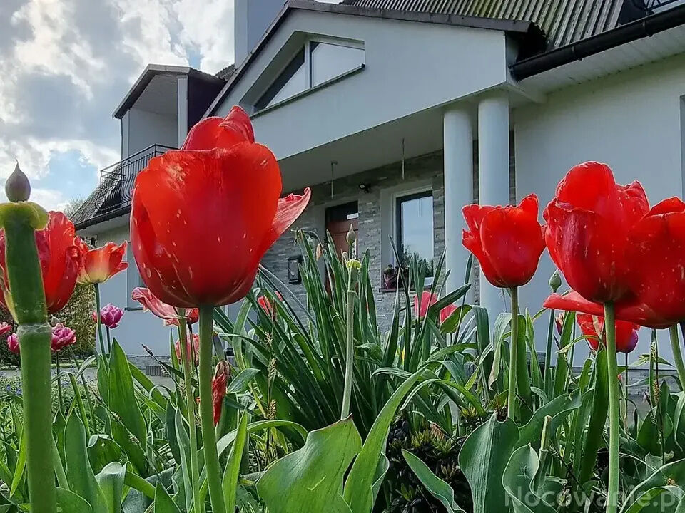 Gospodarstwo Agroturystyczne Elżbieta i Robert Pocałuń 