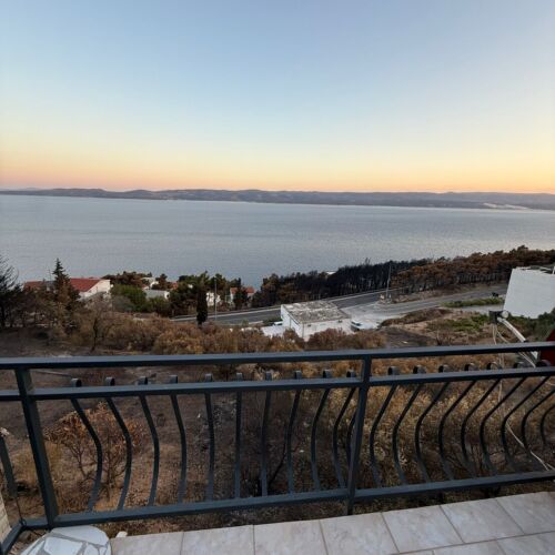 Apartments Zorica Marusici  4