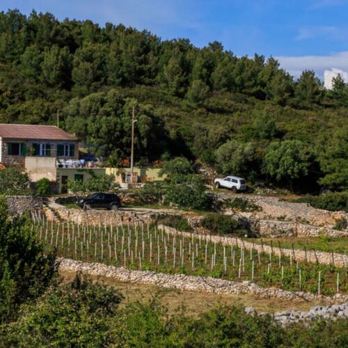 House Paradiso Vis  4