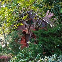 Apartament SECESJA Ostrów Wielkopolski