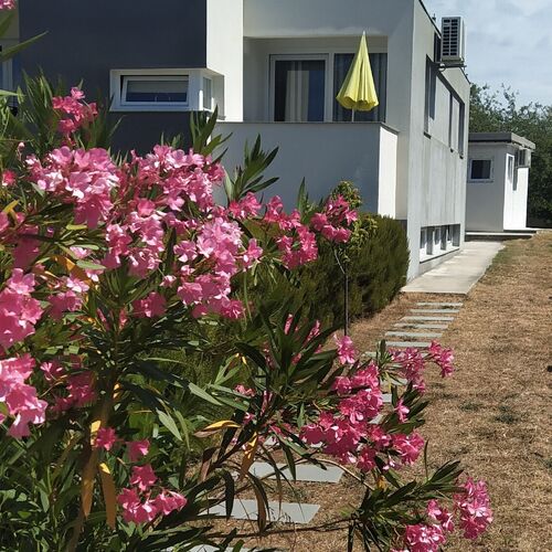 Apartments Dora Bibinje II  4