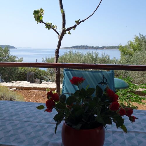 Apartments Nev Blato  3