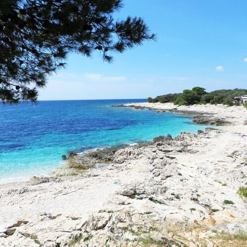 Apartments Oasis Veli Rat  3
