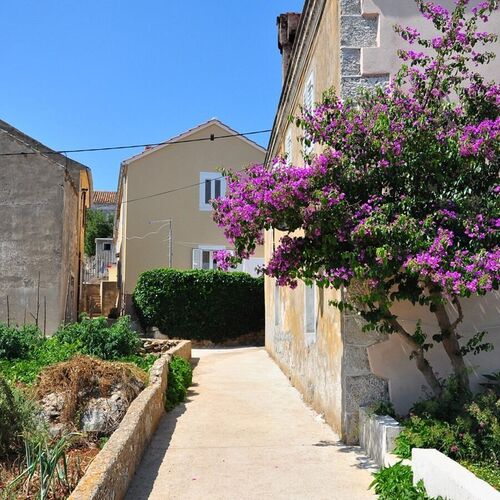 Apartments Oasis Veli Rat  4
