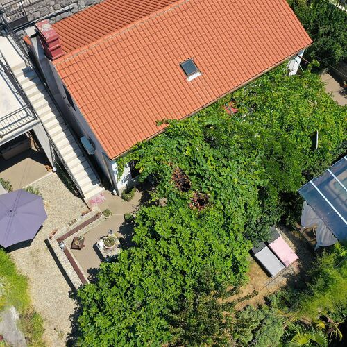 House Ingrid Rijeka  2
