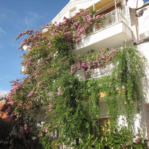 Apartment Graciela Gradac