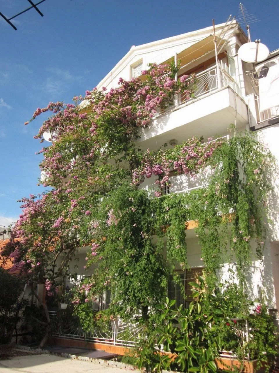 Apartment Graciela Gradac