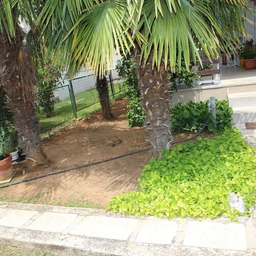 Apartments Araz Vodice  3