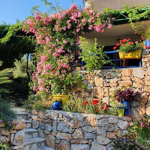 Apartmanok A Tenger Mellett Murter - 22397  3