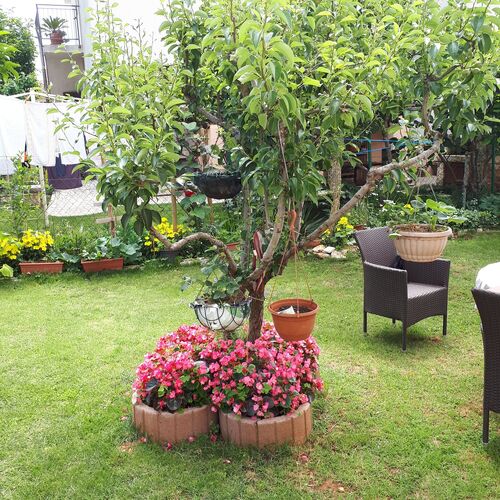 Apartmanok Parkolóhellyel Medulin - 23049  4