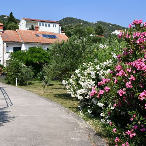 Apartmanok Parkolóhellyel Banjol, Rab - 23240 Banjol  4