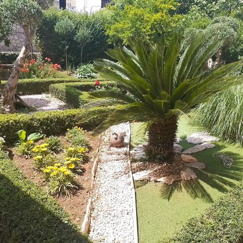 Apartmanok Parkolóhellyel Pirovac, Sibenik - 23330 Pirovac  4
