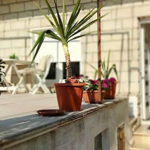Apartmanok Parkolóhellyel Split - 23350  3
