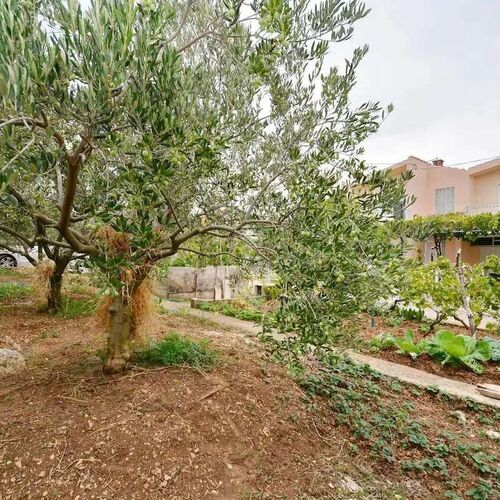 Nyaralóház Parkolóhellyel Kastel Stafilic, Kastela - 23408 Kaštel Štafilić  3