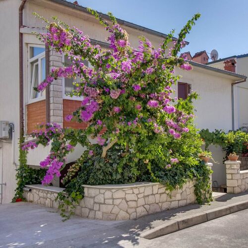 Apartmanok Parkolóhellyel Mali Losinj, Losinj - 23418 Mali Lošinj