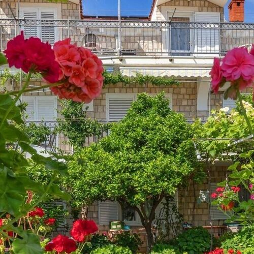 Apartmanok és Szobák Medencével Mlini, Dubrovnik - 23441 Mlini  3