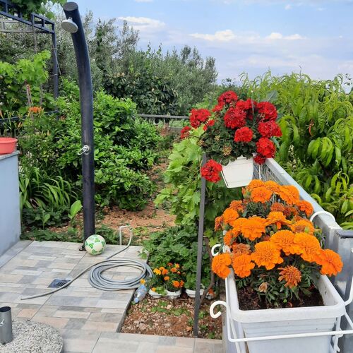 Apartmanok Parkolóhellyel Seget Donji, Trogir - 23533 Seget Donji  4