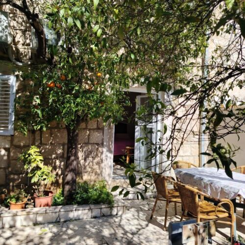Apartment Milu Cavtat  2