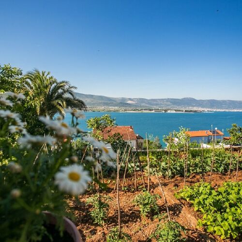 Apartment Marija Trogir  3