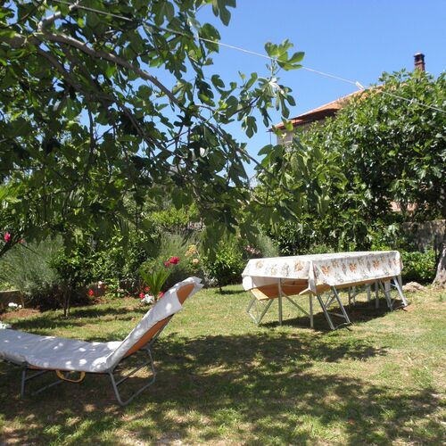 Apartments Zvone Bibinje  4