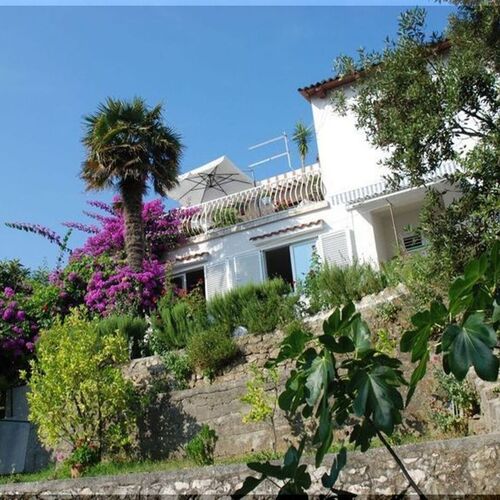 Apartment Pero Banjol  4