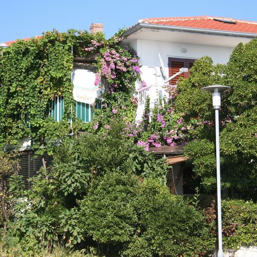 Apartment Petar Barbat  4