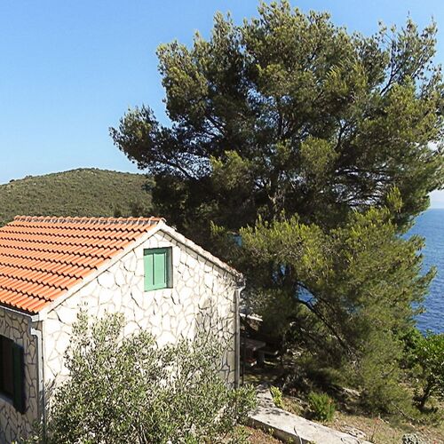House Ana Maslinica  4