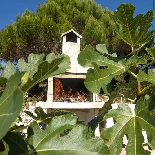 House Ana Maslinica  3