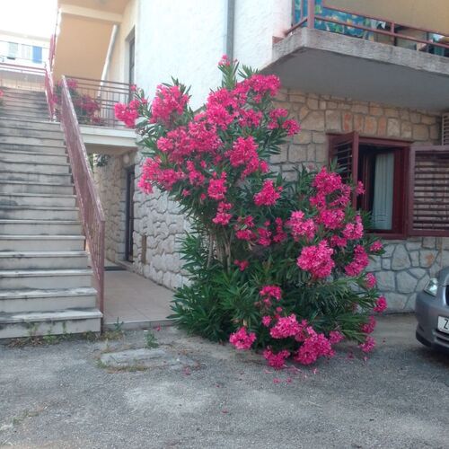 Apartments Ana Crikvenica II  3