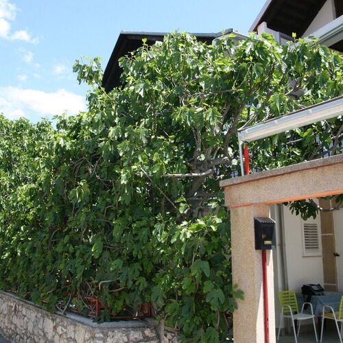 Apartments Marko Vodice  4