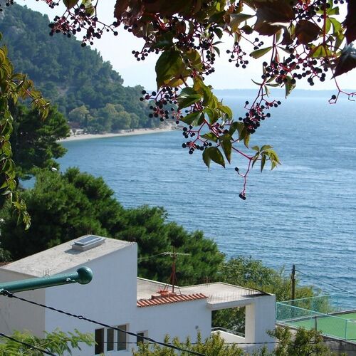 Apartments Gogi Zivogosce  2